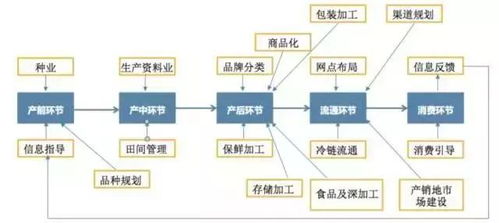 互聯(lián)網(wǎng)農(nóng)業(yè) 物聯(lián)網(wǎng)技術服務帶來的務農(nóng)新體驗